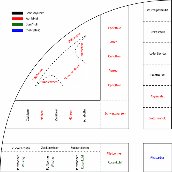 Plan für den Gemüsegarten