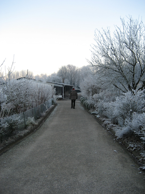 Weg zum Vereinsheim