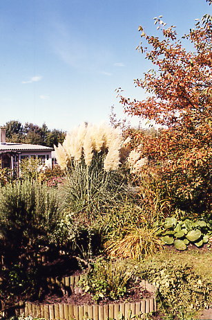 Vordergrund: das dem Haus zugewandte Ende des Kräuterbeetes