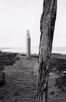 Ring of Brodgar - wirkt so zerbrechlich