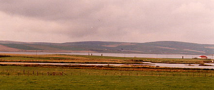 Stones of Stenness - Blick vom Ring of Bodgar aus