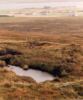 Blick auf Lyness