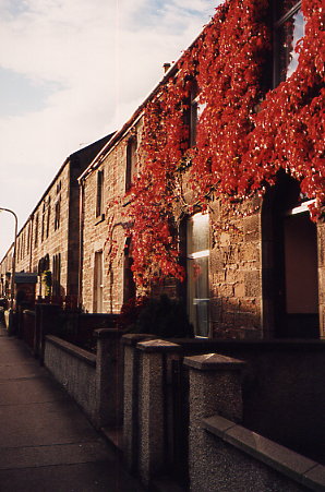 Inverness - Herbstlaub an Häusern