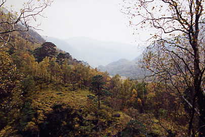 Glen Nevis - Talblick