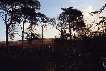 Blick vom Wohnzimmerfenster