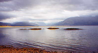 Seehundinseln Loch Linnhe