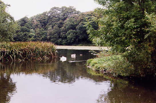 Burn's Cottage