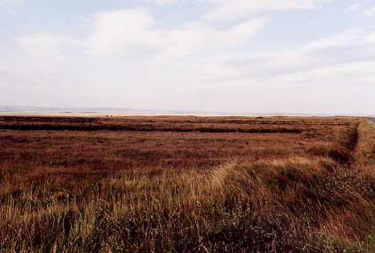 Blick nach Westen Richtung Glenegedale