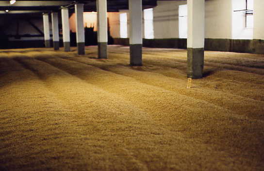 Laphroaig - malting floor