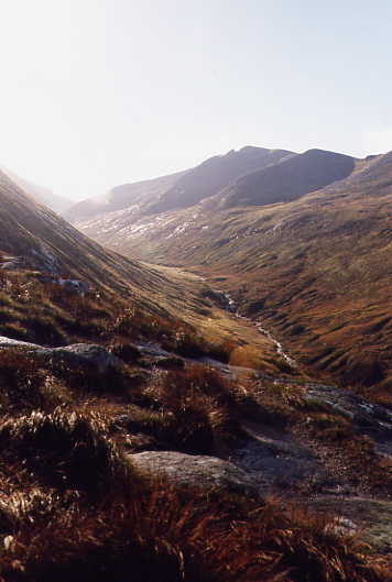 Nevis Range - Felsenbach