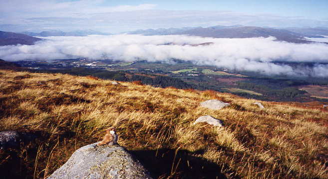 Nevis Range - Passepartout