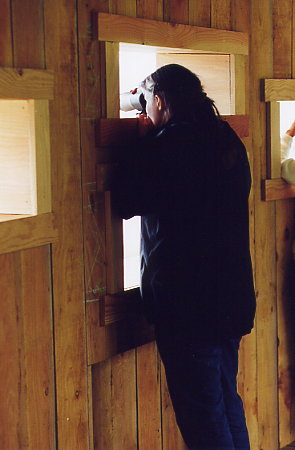 Ardnamurchan - Garbh Eilean wildlife hide