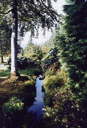 Attadale Garden