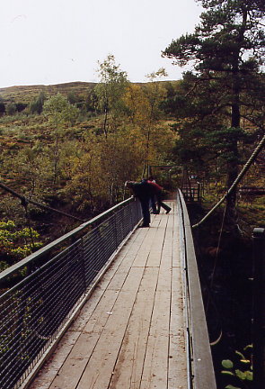 Corrieshalloch Gorge - ist das tief!