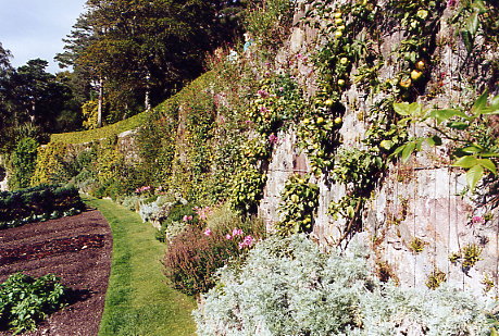 Inverewe - walled garden