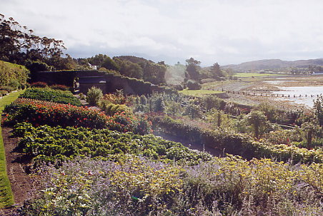 Inverewe - walled garden