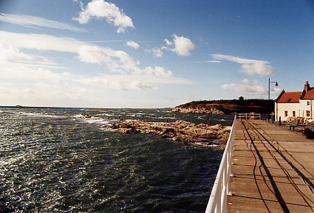 Pittenweem - Mid Shore