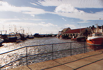 Pittenweem Hafen und Auktionshalle
