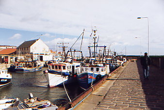 Pittenweem Hafen