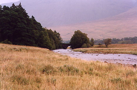 Victoria Bridge