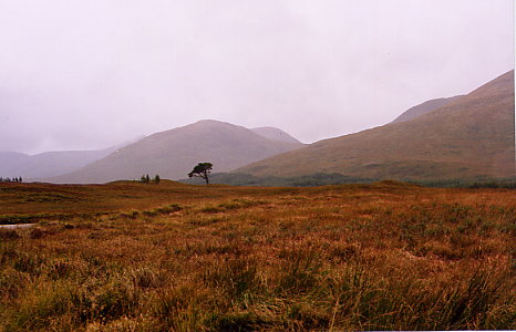 Blick entlang des Abheinn Shira