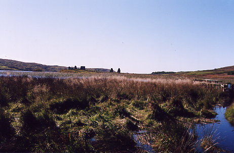 Finlaggan - Blick zur Insel