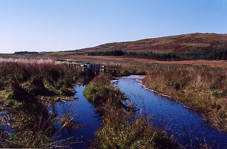 Finlaggan - Überschwemmung