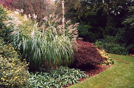 Threave Garden