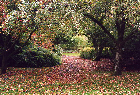 Threave Garden