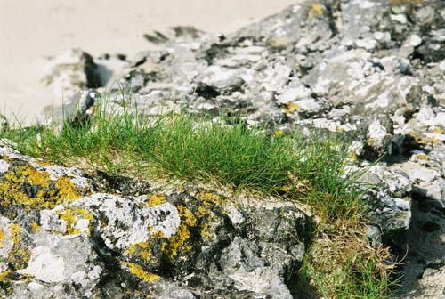 Sanna Bay - Grundfarben der Natur?