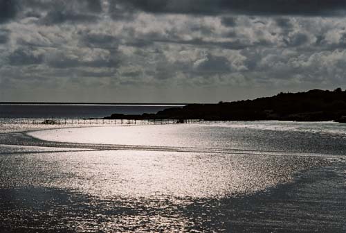 Rockcliffe - Gegenlichtaufnahme in Richtung Rough Island