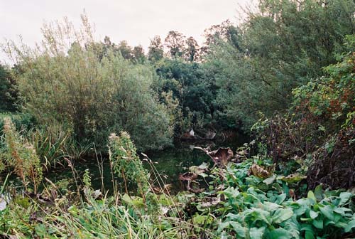 der kleinere der beiden Teiche