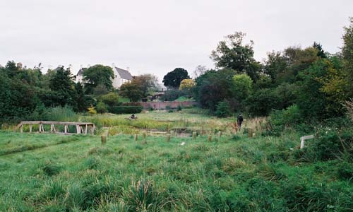 Blick quer über den Garten zum Haus hin