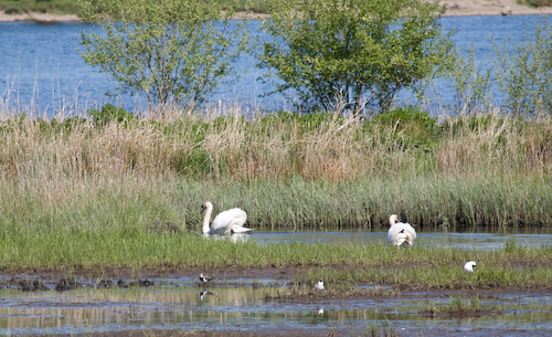 Mittagsruhe im Ken-Dee Reservat