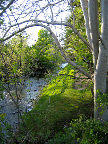 River Annan